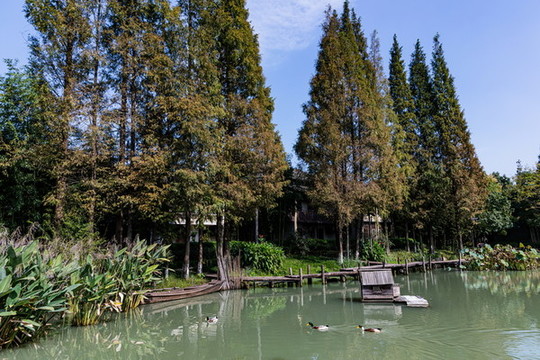 烏鎮(zhèn)烏村鄉(xiāng)村旅游