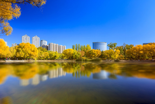 秋天的湖面景色