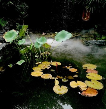 余蔭流芳