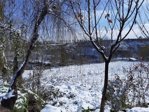 雪中山村