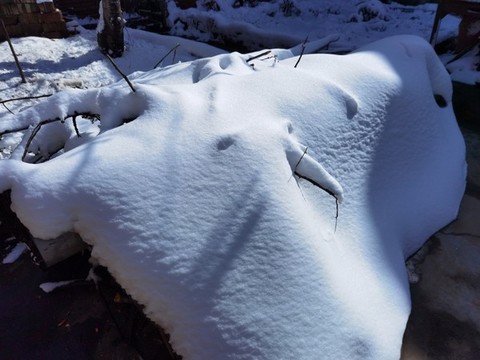 立冬初雪