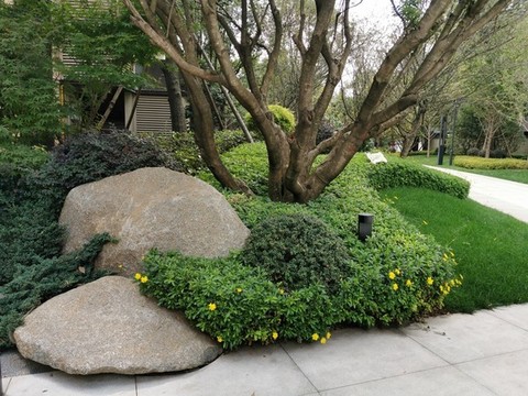微地形園林景觀住宅區(qū)綠化草地