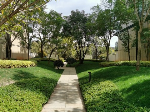 園林景觀微地形草地綠化造型