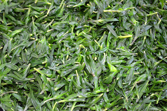 焯過水的山苜楂野菜