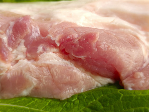 綠葉豬肉圖