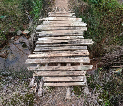老木橋