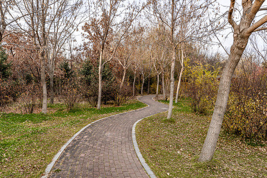 中國長春百木園秋季風(fēng)景