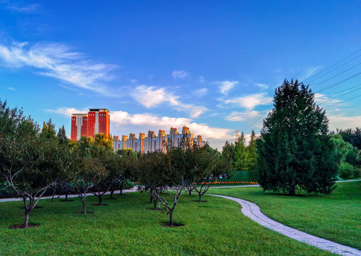 園林花草小景