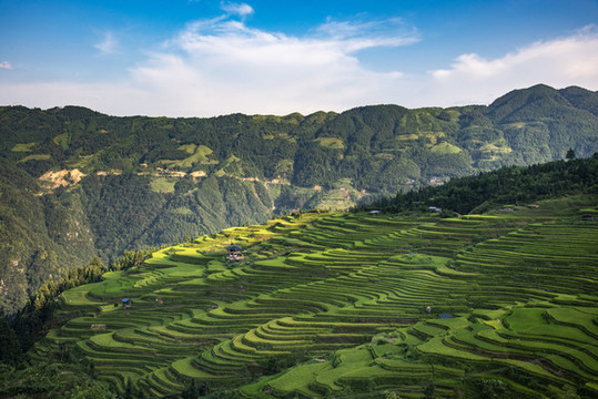 貴州梯田
