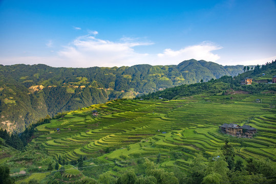 貴州加榜梯田