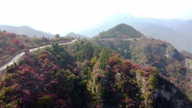 天賜山風(fēng)光