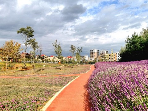 紅色透水混凝土