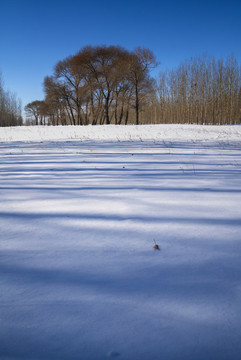 雪景