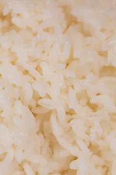 五常大米飯