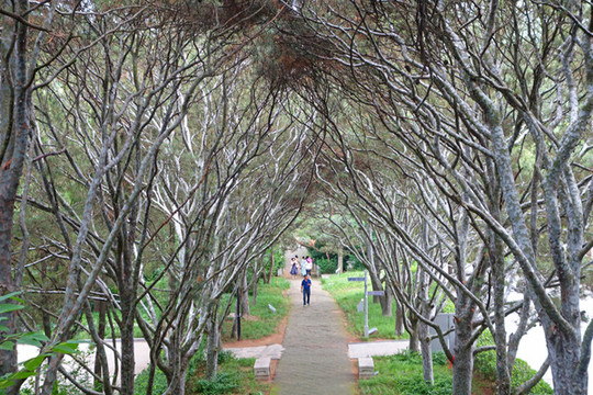 北戴河聯(lián)峰山觀音寺園林風(fēng)光