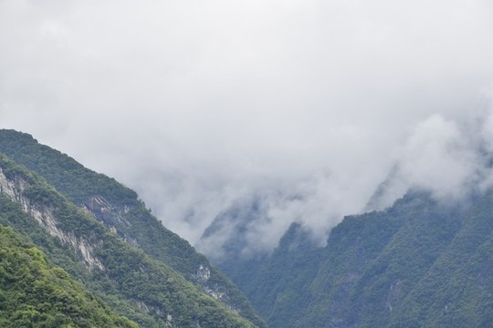 山中晨霧