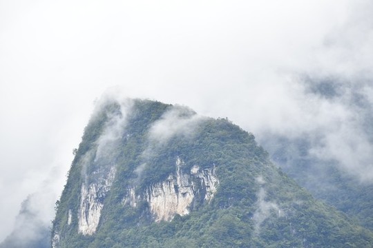 山中晨霧