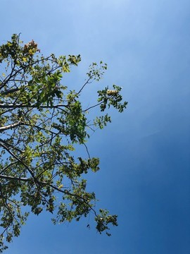 田園風(fēng)光