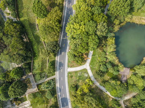 航拍森林公路