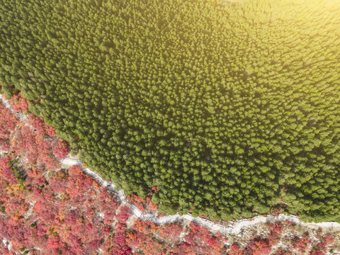 航拍濟(jì)南蝎子山園林風(fēng)景