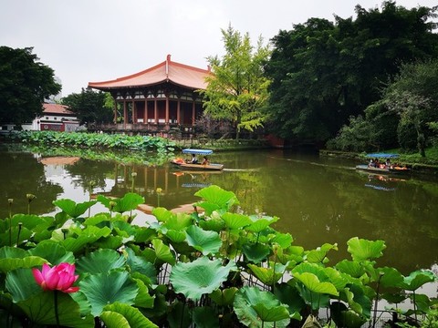 公園水景