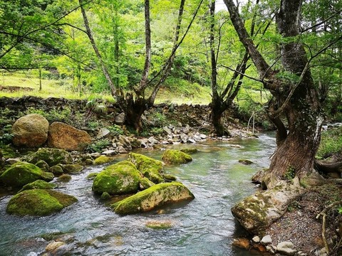 小河流水