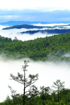 大興安嶺山川林海云霧