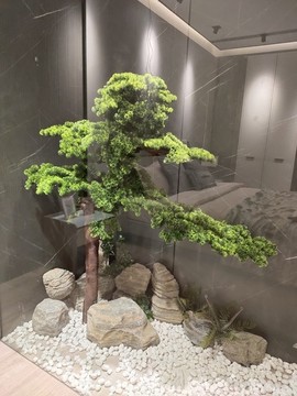 松樹