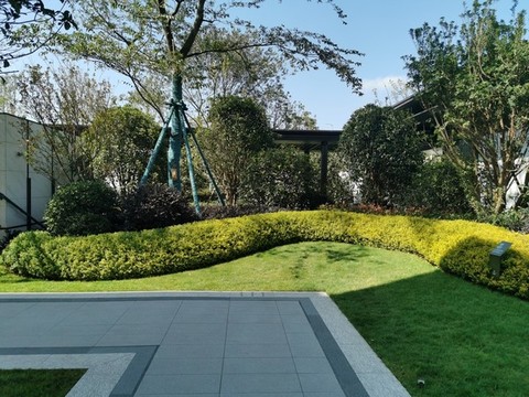 小灌木園林景觀微地形