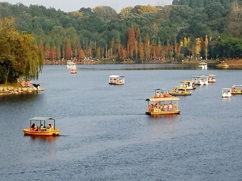 公園游船