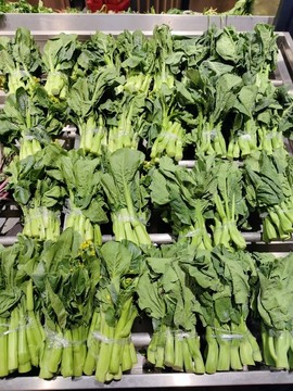 新鮮菜心