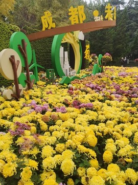 菊花