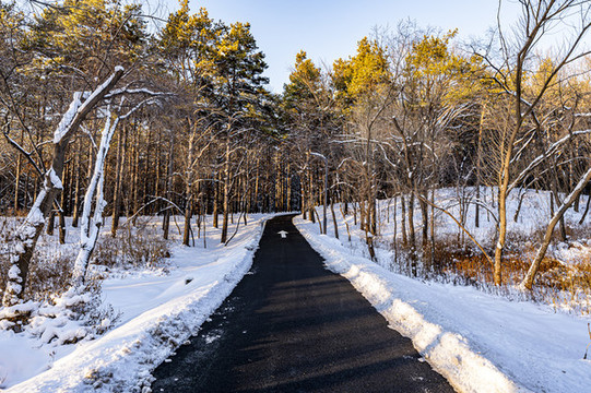 雪后的長(zhǎng)春凈月潭森林公園風(fēng)景
