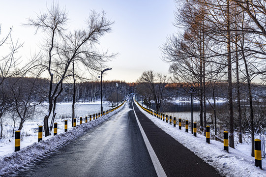 雪后的長春凈月潭森林公園風景