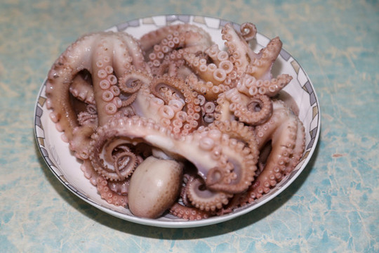 八帶