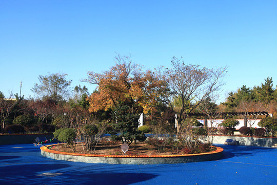 郊野公園