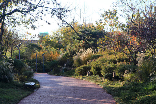郊野公園