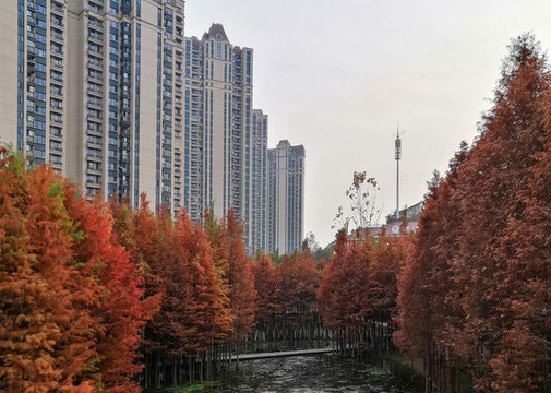 紅葉染新城