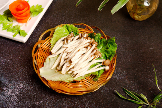 香菇