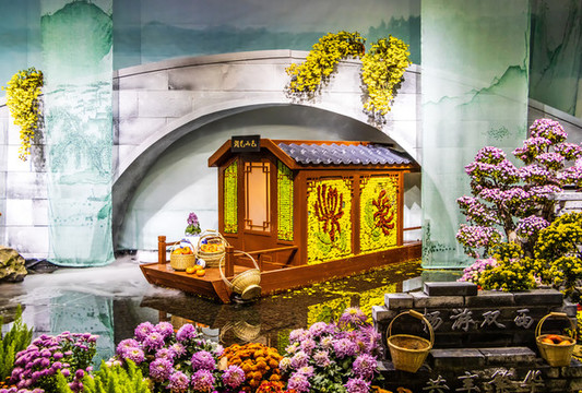 菊花展