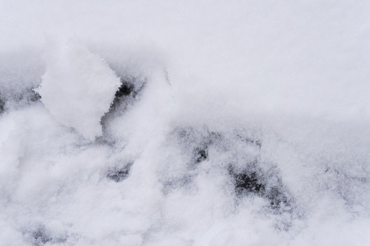 中國(guó)北方嚴(yán)寒的冬季降下的白雪