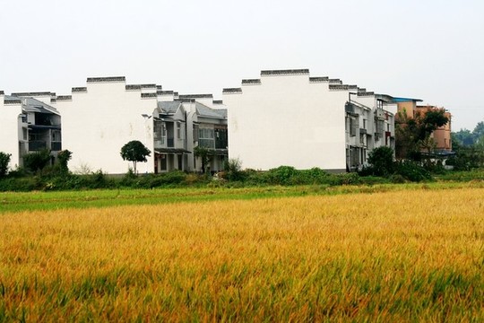 新農(nóng)村