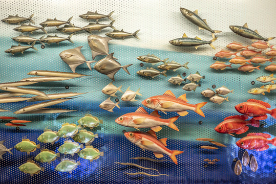 海洋魚(yú)類(lèi)模型