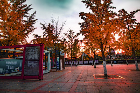 雕塑公園秋色