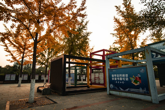 雕塑公園秋色