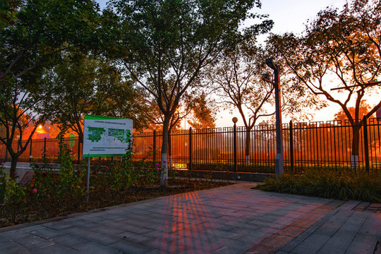 雕塑公園秋色