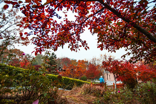 雕塑公園秋色