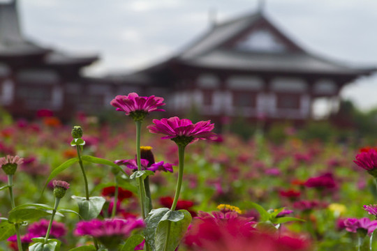 長春北湖濕地公園