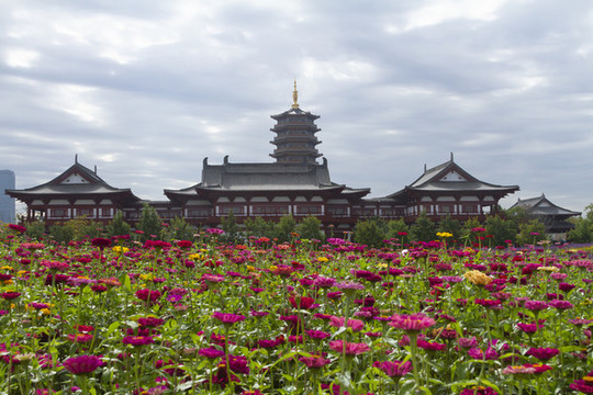 長(zhǎng)春北湖花海