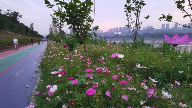 江邊鮮花步道